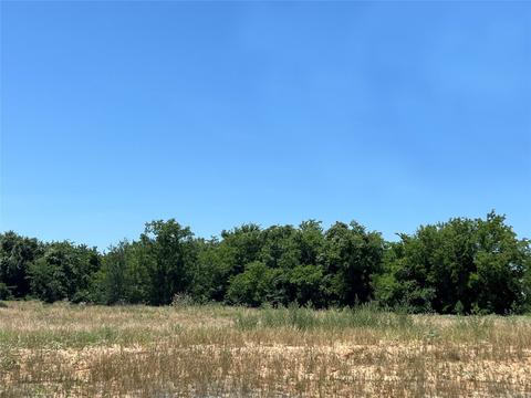 220 Stuart St, Paradise, TX 76073