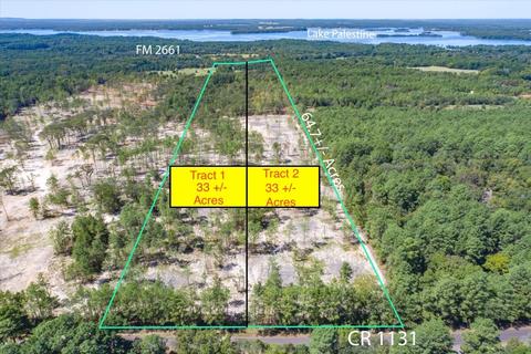 Tract 1 - Tbd County Road 1131, Flint, TX 75762