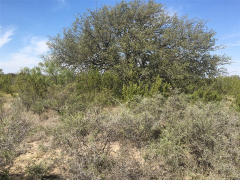 355 Bison Rd, Eden, TX 76837