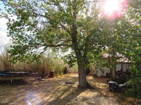 120 County Road 154, Bangs, TX 76823 photo 19