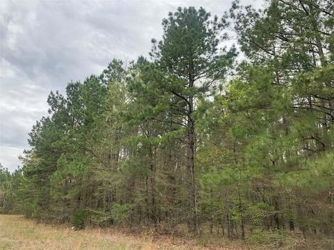 0 Cr 4284, Simms, TX 75574 photo 3