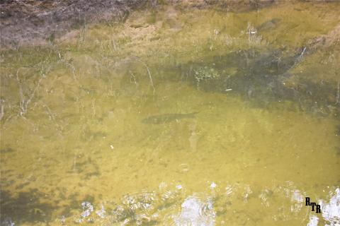 2817 Cr 419, Comanche, TX 76442 photo 18
