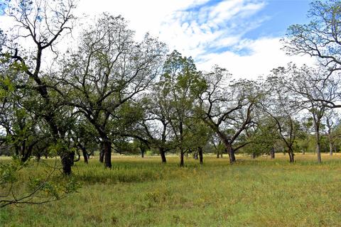 2817 Cr 419, Comanche, TX 76442 photo 28