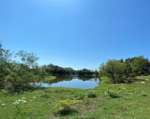 tbd State Highway 16 S, Goldthwaite, TX 76844