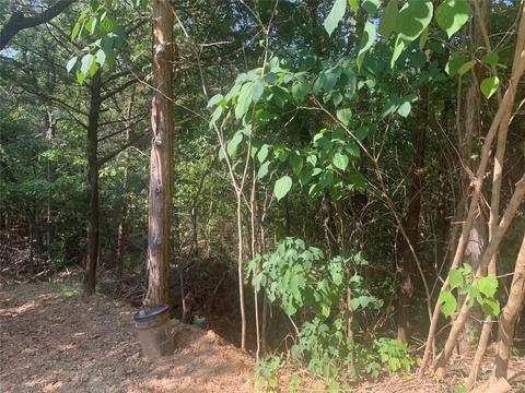 1 3 Acres Stone Cir, Gordonville, TX 76245