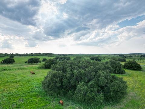 Tbd Cr 133, Cisco, TX 76437
