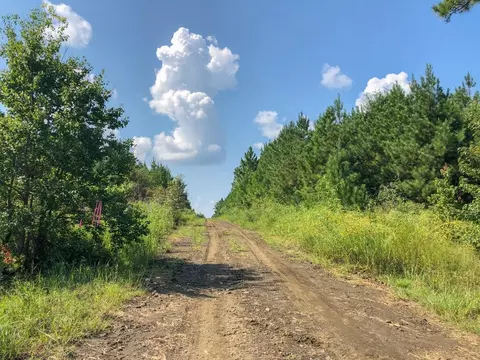 0 Off Fm 1746, Woodville, TX 77624