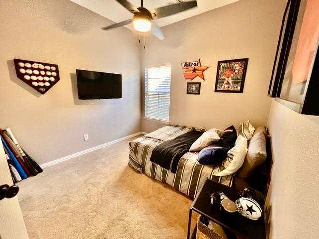  502 Landing Ct, Grapevine, TX 76051 photo 10