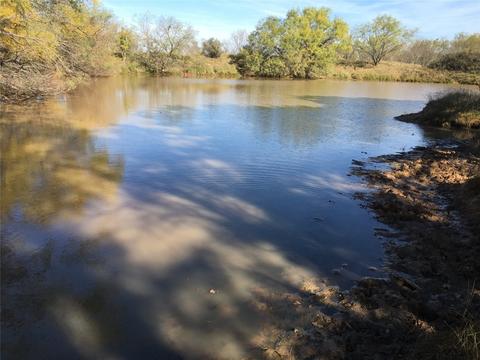 Tbd County Road 428, Rising Star, TX 76471
