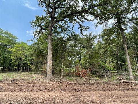 608 Roy Coffee Ct, Weatherford, TX 76087