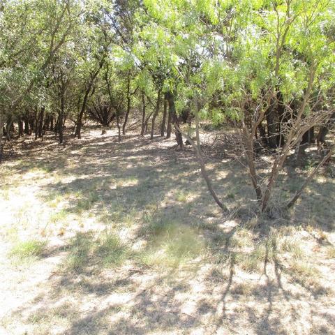 4 Cliffs Drive, Possum Kingdom Lake, TX 76449