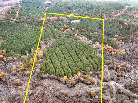 0 Cr 1651, Avinger, TX 75630