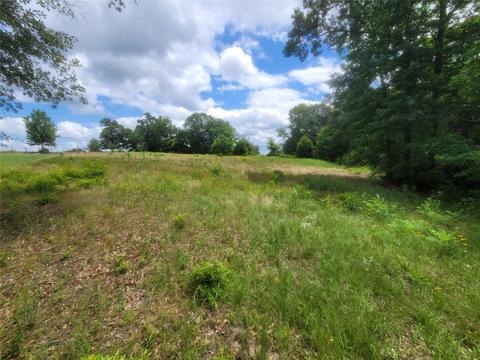 6 County Road 1218, Pittsburg, TX 75686