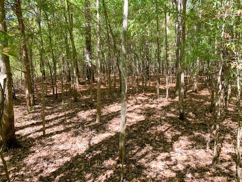 2635 Cr 817, Nacogdoches, TX 75964