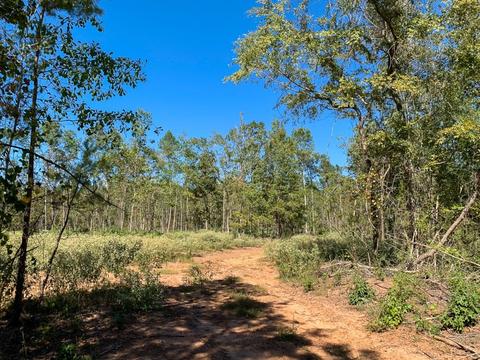 2640 Cr 817, Nacogdoches, TX 75964