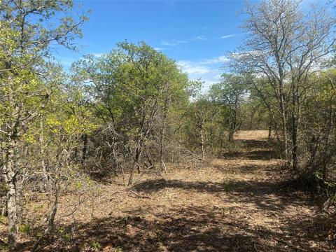 Tbd Cr 239, Rising Star, TX 76471