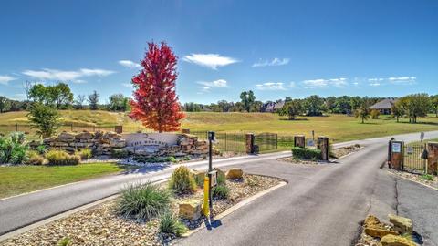 278 Sugartree Drive, Lipan, TX 76462