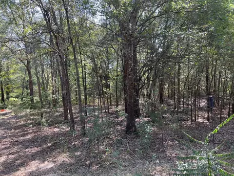 10770 Primary Rd, Eustace, TX 75124 photo 4