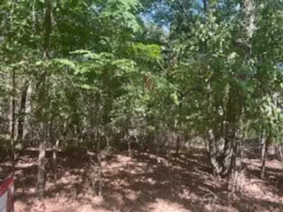Tbd Hickory Trace, Mabank, TX 75156