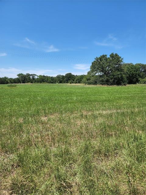Tbd County Road 1211, Canton, TX 75103