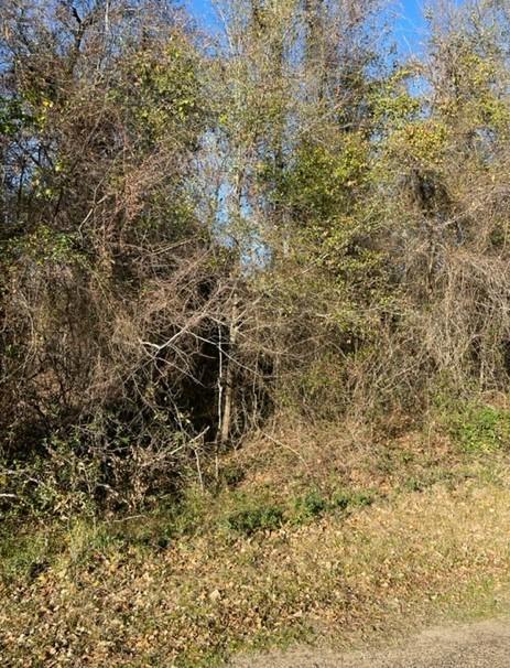 0 Water Board Dr, Trinidad, TX 75163