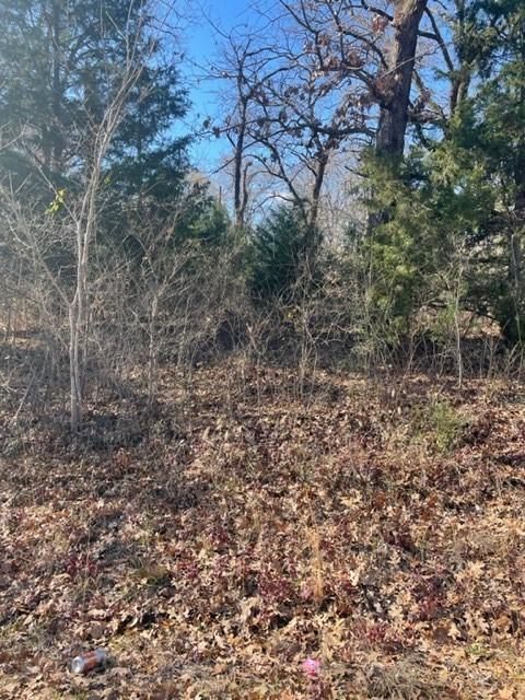 175 Sunray St, Mabank, TX 75156