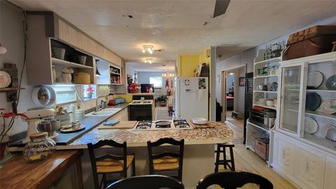 400 E Goodwin St, Bangs, TX 76823 photo 4