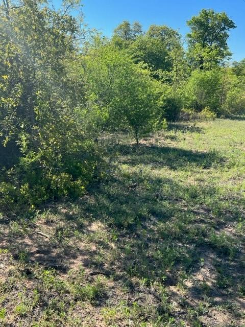 Tbd Fm 603 Farm Market Road, Clyde, TX 79510