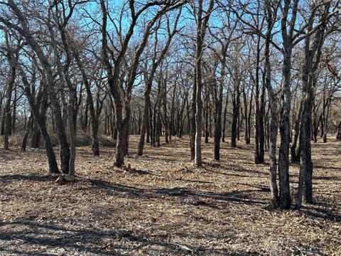 659 E Canyon Creek Ln, Weatherford, TX 76087