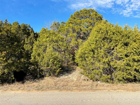 Tbd Lake Country Drive, Granbury, TX 76049
