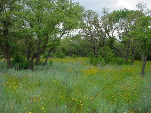 6 Stagecoach Trl # h, Gordon, TX 76453