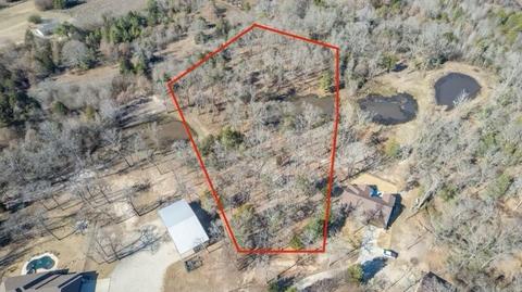 000 Lot 65 Rains Cr 4269, Emory, TX 75440