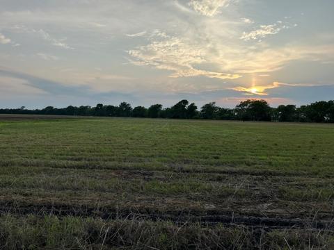 Tbd County Rd 2005, Cooper, TX 75432
