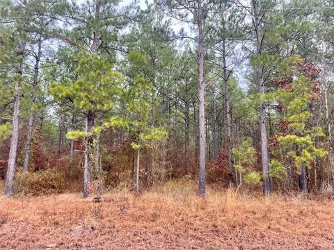103 Buffalo Rd, Benton, LA 71006