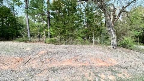lot147 Navasota, Mount Vernon, TX 75457