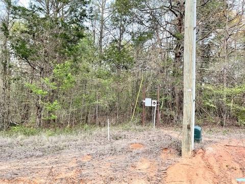 lot149 Navasota, Mount Vernon, TX 75457