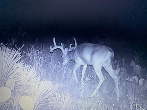 751 Bison Rd, Eden, TX 76837