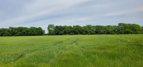 000 Fannin Rd, Melissa, TX 75454