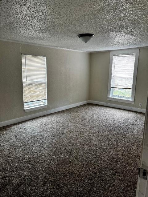 313 Huron St, Cleburne, TX 76031 photo 12