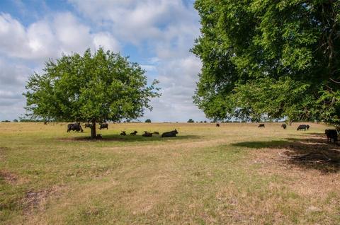 Tbd Blair Road, Waxahachie, TX 75165