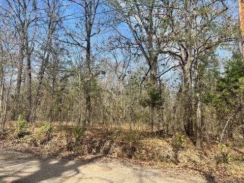 Tbd Granada Street, Payne Springs, TX 75156