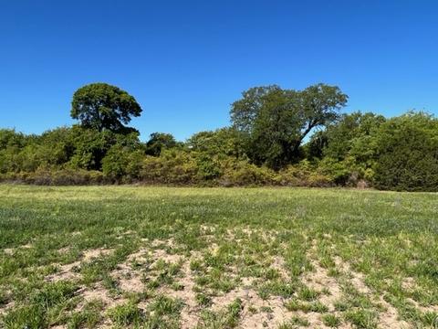 T.b.d F.m. 603, Clyde, TX 79510