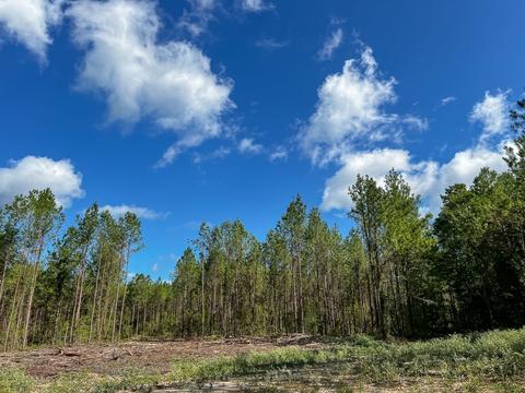 0004 Slim Palmer Rd, Zavalla, TX 75980
