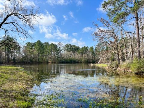 0 Fm 980, Huntsville, TX 77320