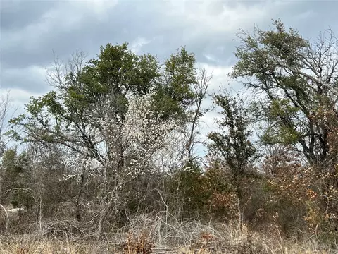 677 Pecan Valley Rd, Gustine, TX 76455 photo 5