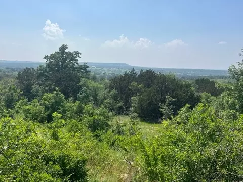 677 Pecan Valley Rd, Gustine, TX 76455
