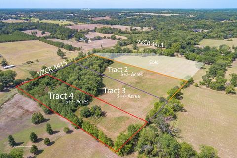 Tbd - Tract 4 Vz County Road 4415, Ben Wheeler, TX 75754