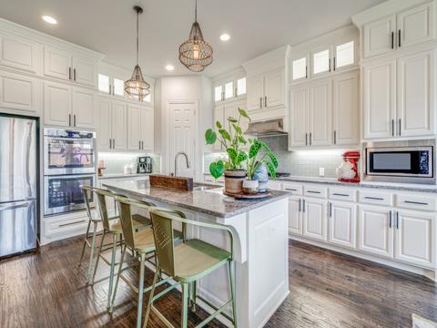 1417 Pitaya Dr, Lantana, TX 76226