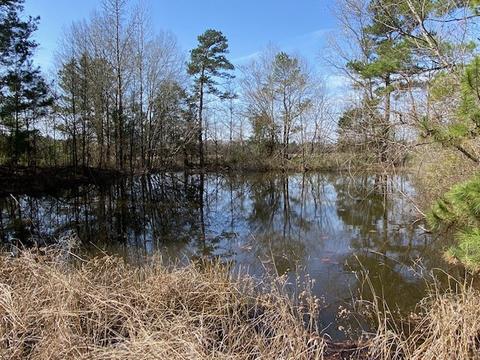 000 E Hwy 80, Mineola, TX 75773