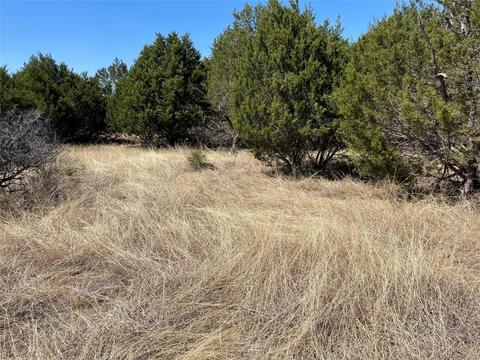 Tbd County Road 346, Brady, TX 76825